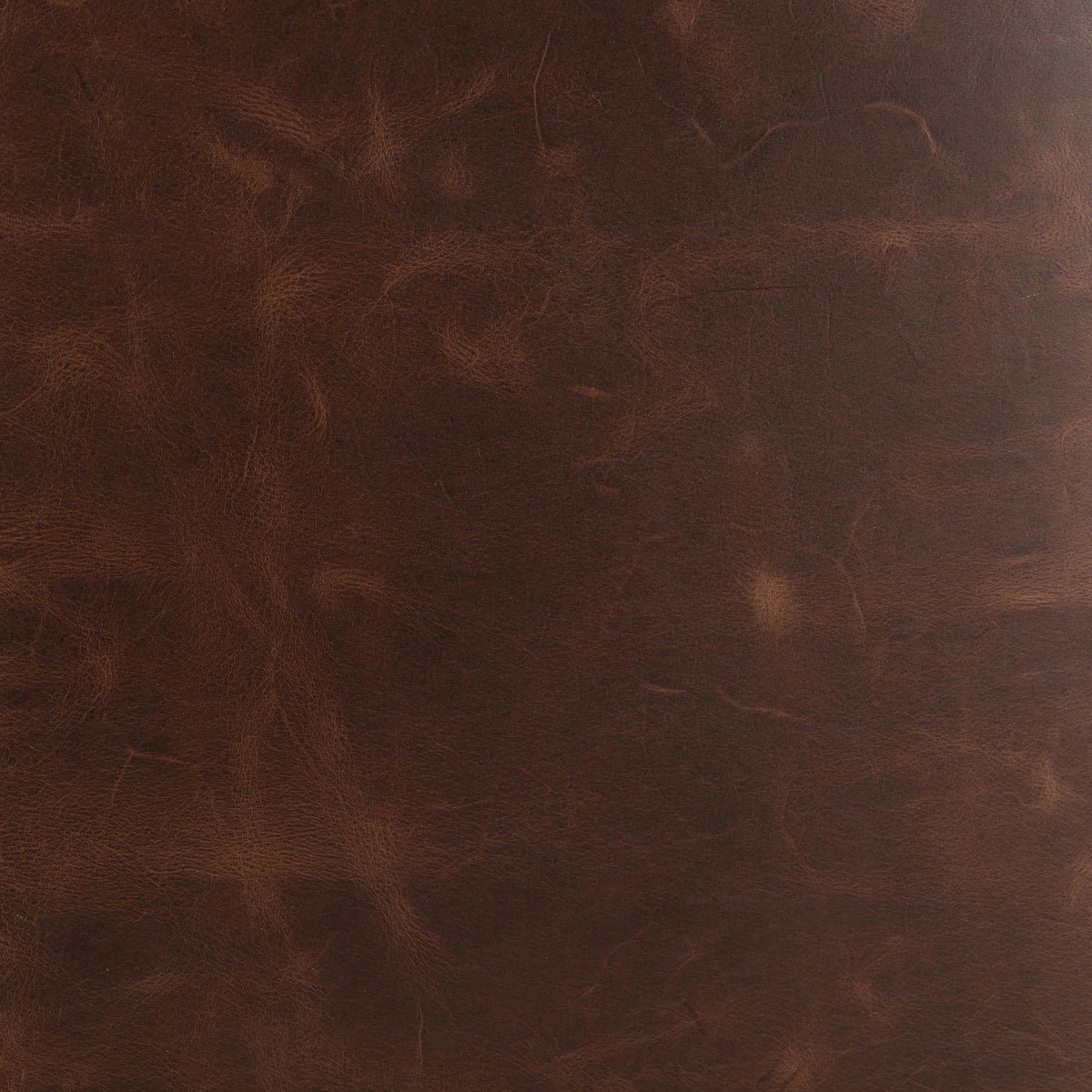 Raleigh Cigar | Four Hands Sample