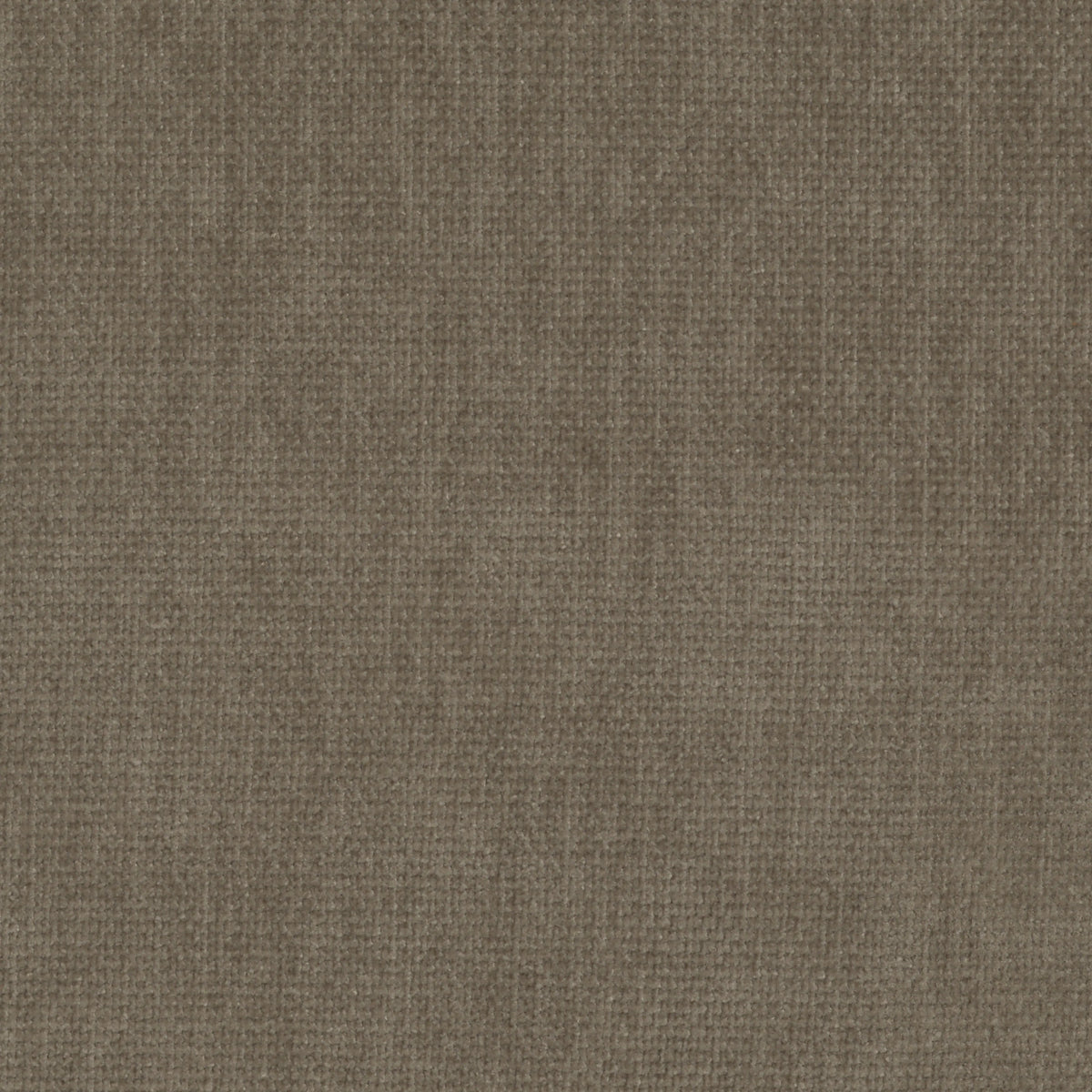 Sage Worn Velvet | Four Hands Sample