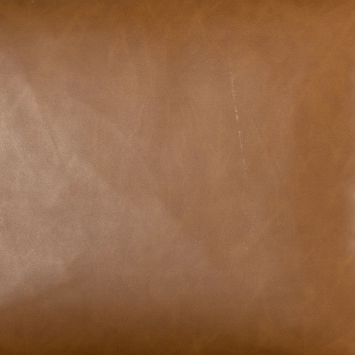 Sierra Butterscotch | Four Hands Sample