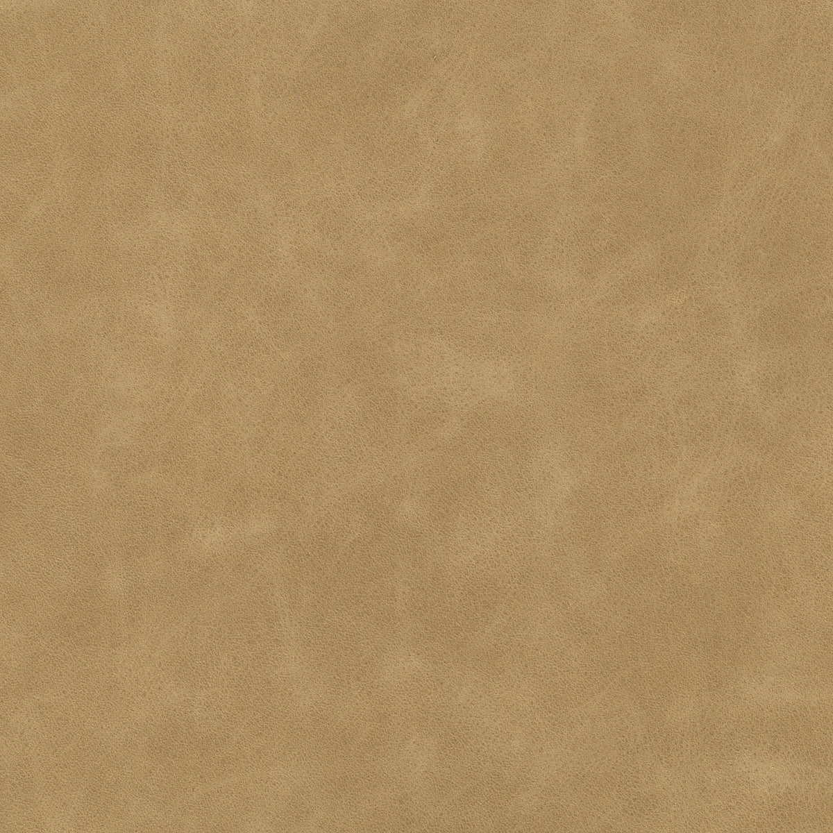 Sonoma Grey | Four Hands Sample
