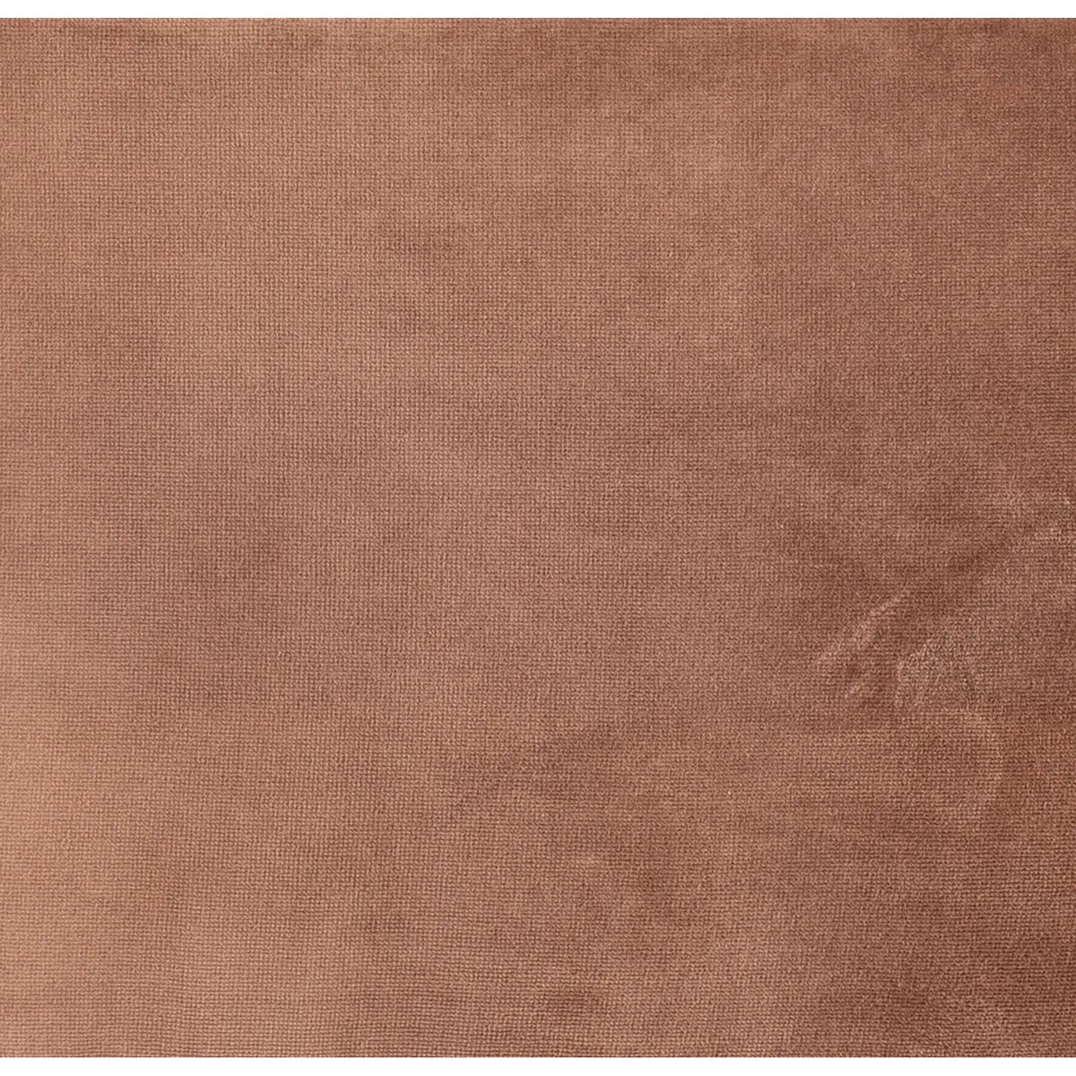 Surrey Birch | Four Hands Sample