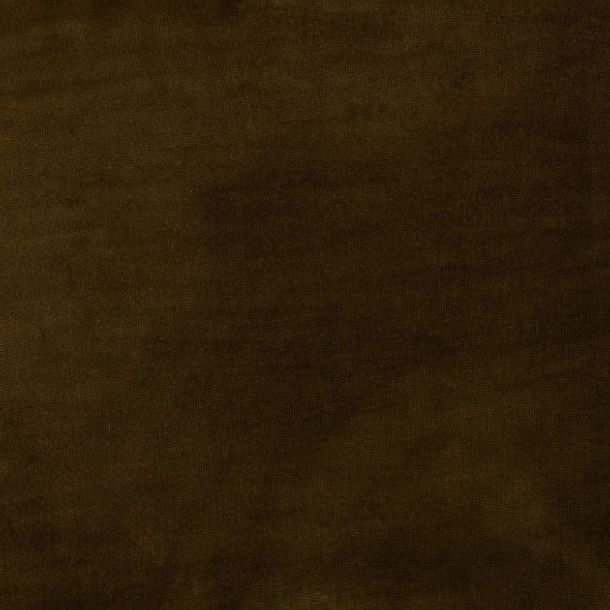 Surrey Moss | Four Hands Sample