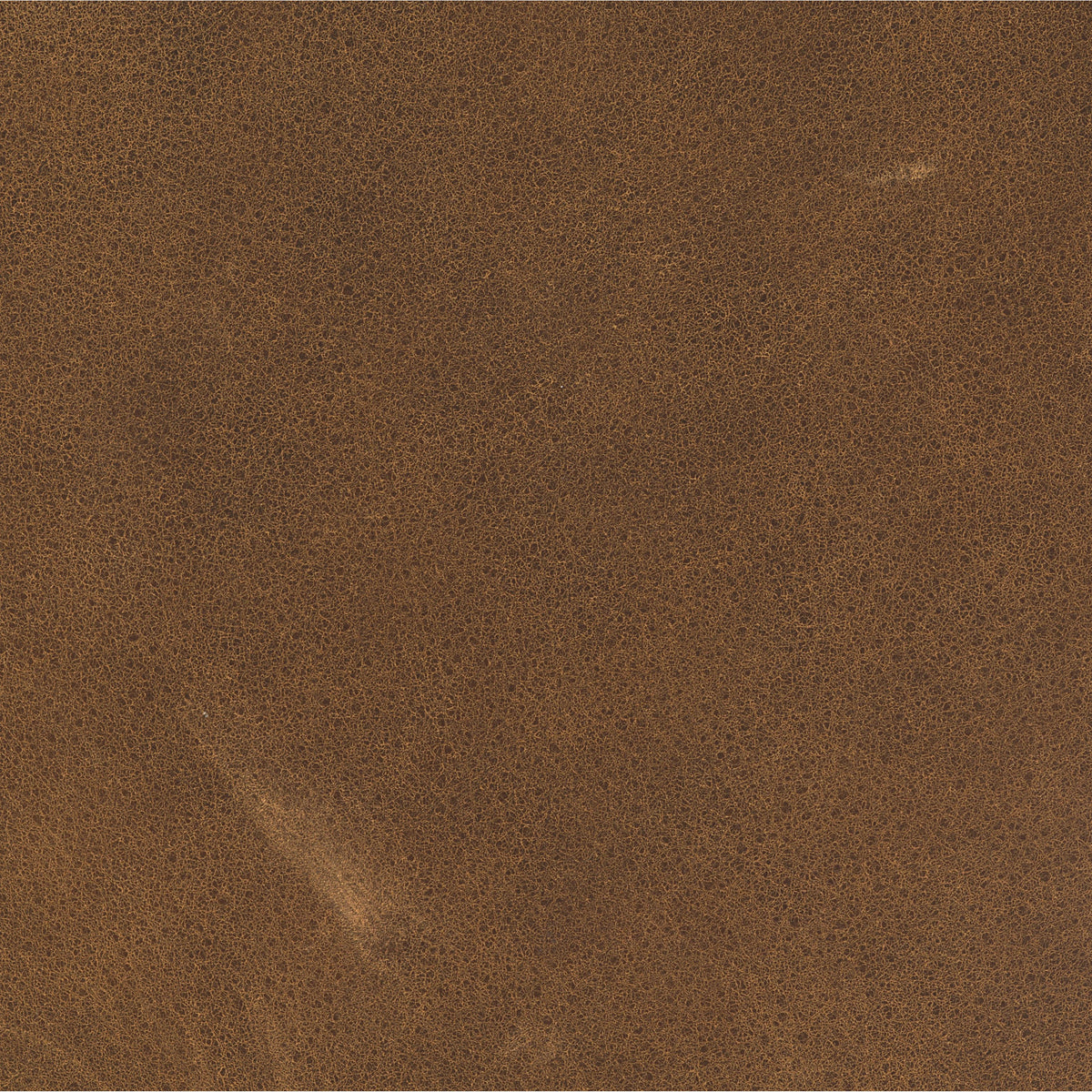 Umber Grey | Four Hands Sample