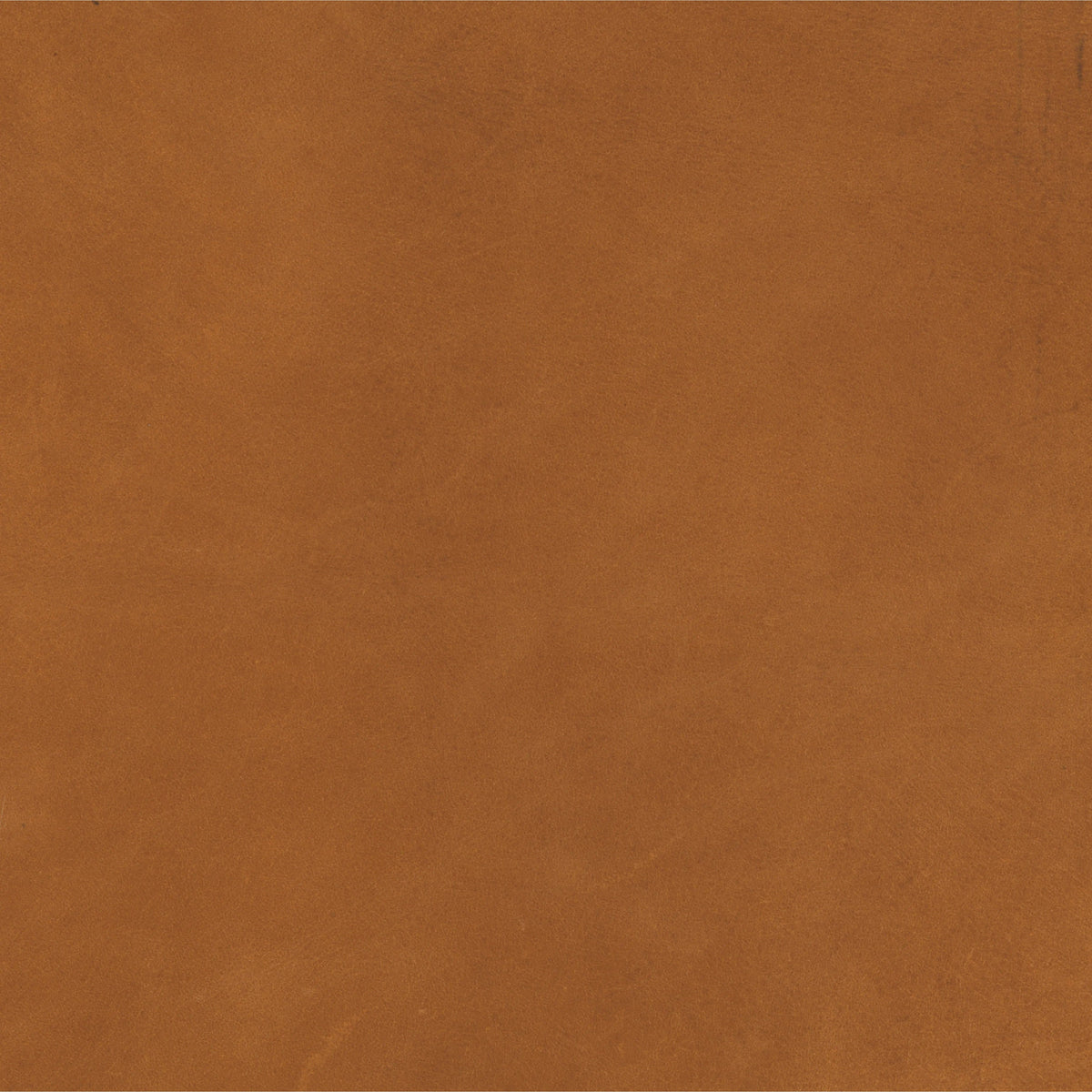 Valencia Camel | Four Hands Sample