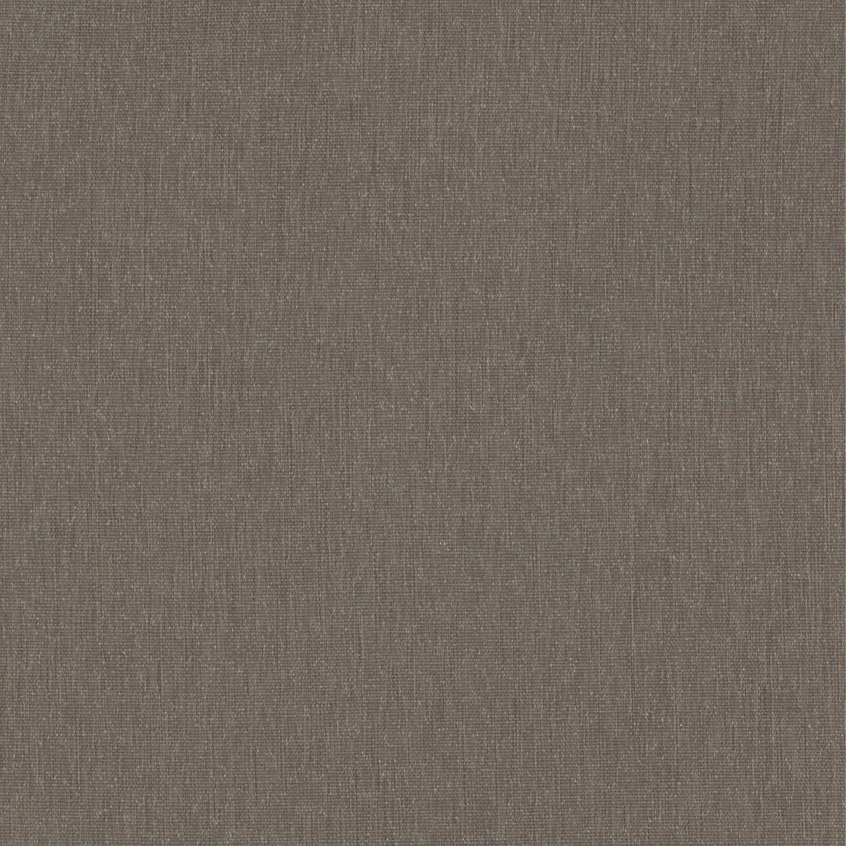 Venao Charcoal | Four Hands Sample
