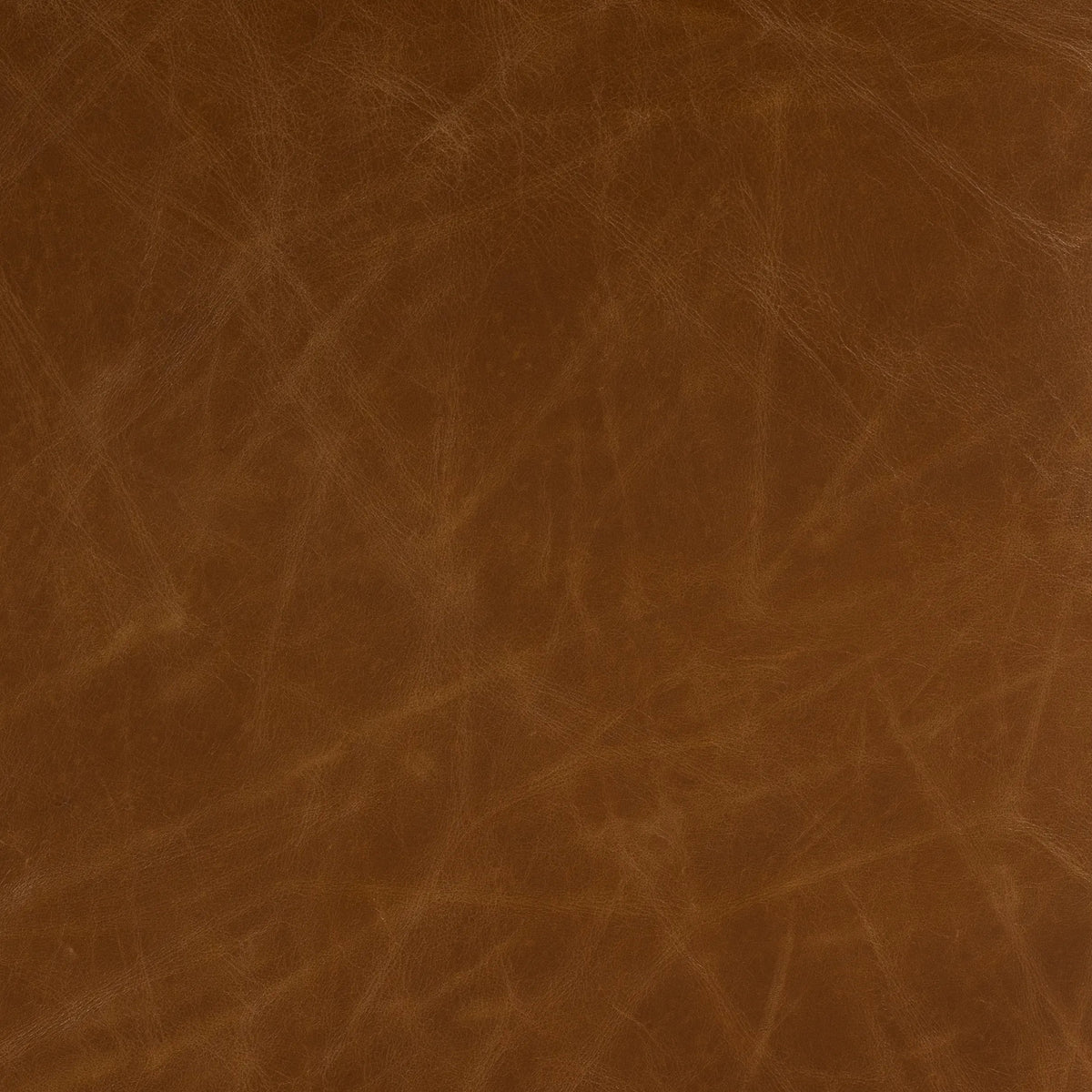 Vintage Soft Camel | Four Hands Sample