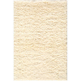 Ayan Rug