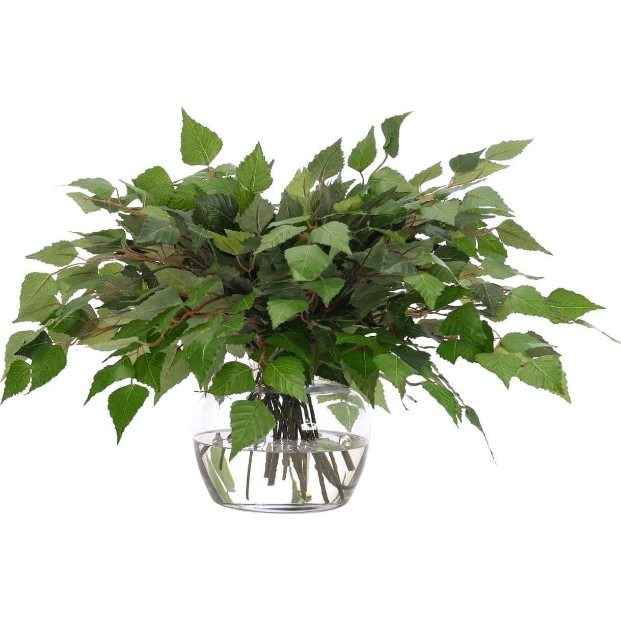 Birch Leaf, Faux Watergarden, 15″ NDI