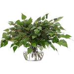 Birch Leaf, Faux Watergarden, 15″ NDI