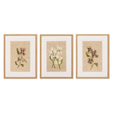 Blooms II Triptych by Brittney Schulz