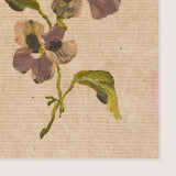 Blooms II Triptych by Brittney Schulz