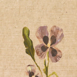 Blooms II Triptych by Brittney Schulz