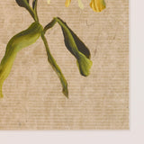 Blooms I Triptych by Brittney Schulz
