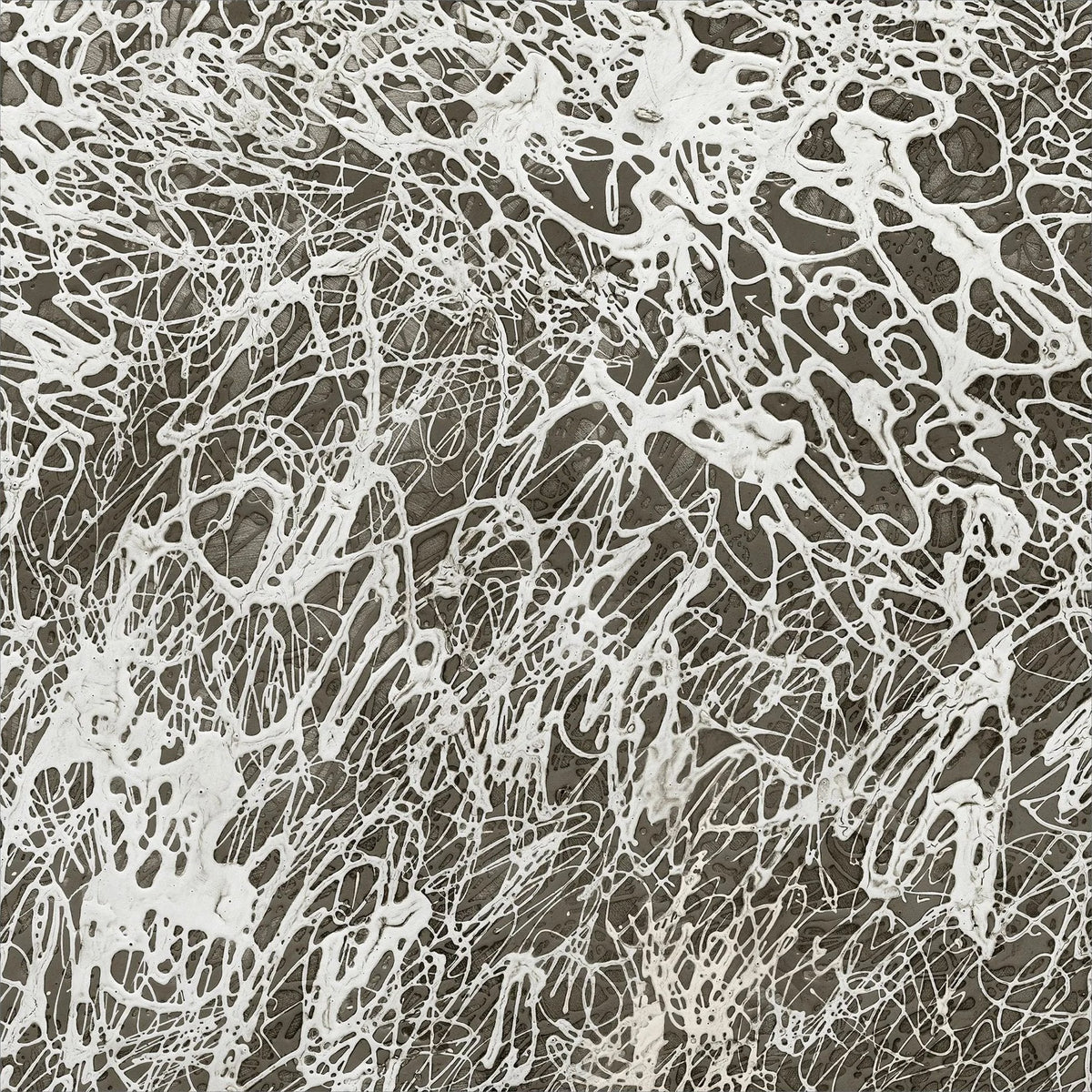 Echoes Of Whispers 1 Art