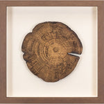  Amethyst Home provides interior design, new construction, custom furniture, and area rugs in the Seattle metro area