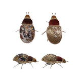 Fabric Jacquard & Velvet Bug Clip-On Ornament