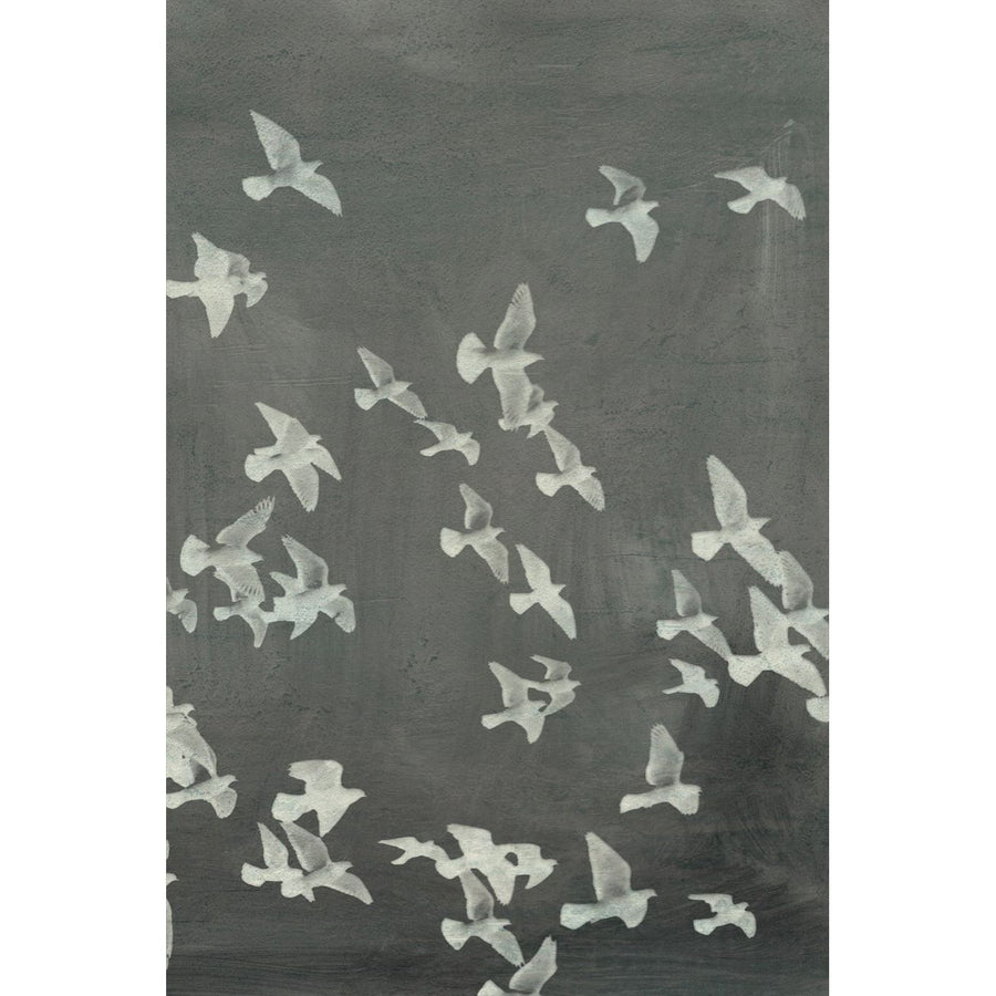 Flight 2 Art (Oversized) - 40 x 60