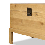 Inspired by classic Chinese antiques, this heritage-style trunk blends timeless design with modern functionality. Crafted from oak with a light, toasted finish, bronzed latch-and-key hardware adds a playful design detail Amethyst Home provides interior design, new home construction design consulting, vintage area rugs, and lighting in the Alpharetta metro area.
