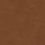 We love the retro style the natural cane of this Antonia Cane Brushed Ebony Armless Dining Chair brings to a dining room. Amethyst Home provides interior design, new home construction design consulting, vintage area rugs, and lighting in the Kansas City metro area.