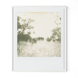 Austin, Texas-based Darden Smith’s multi-media practice encompasses music, photography, illustration, video and printmaking. Also a singer-songwriter, he draws inspiration from cartoons, line drawings and watercolors.  Handmade in Austin, Texas Amethyst Home provides interior design, new home construction design consulting, vintage area rugs, and lighting in the Calabasas metro area.