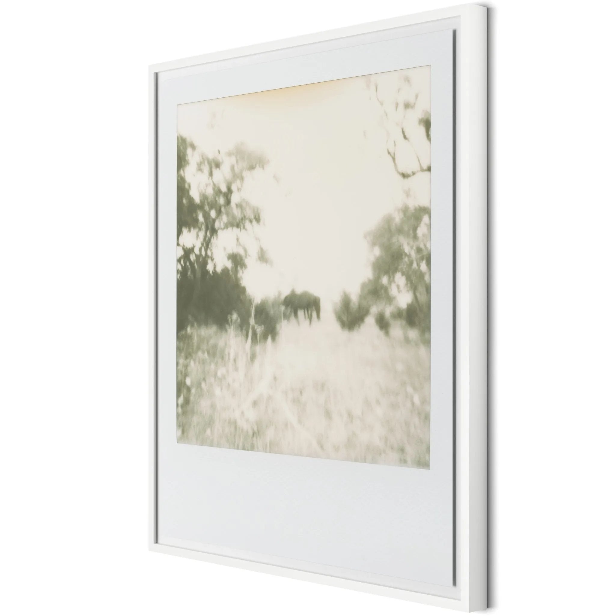 Austin, Texas-based Darden Smith’s multi-media practice encompasses music, photography, illustration, video and printmaking