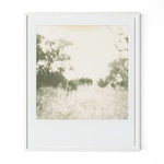 Austin, Texas-based Darden Smith’s multi-media practice encompasses music, photography, illustration, video and printmaking. Also a singer-songwriter, he draws inspiration from cartoons, line drawings and watercolors. Handmade in Austin, Texas Amethyst Home provides interior design, new home construction design consulting, vintage area rugs, and lighting in the Monterey metro area.