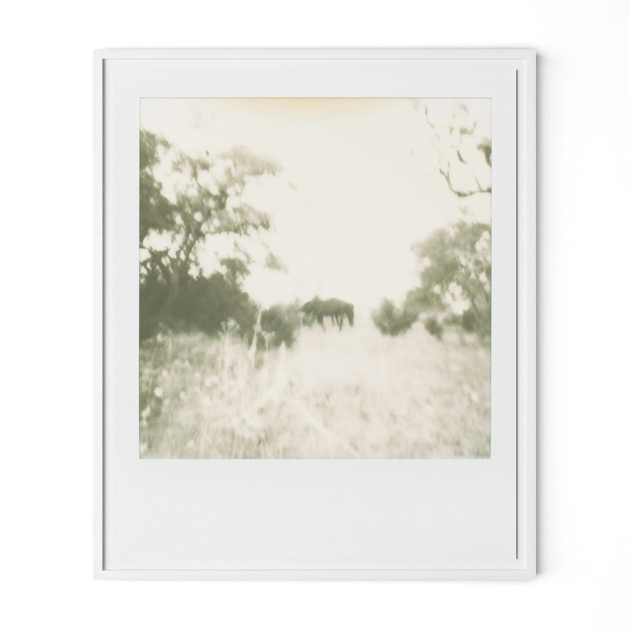 Austin, Texas-based Darden Smith’s multi-media practice encompasses music, photography, illustration, video and printmaking. Also a singer-songwriter, he draws inspiration from cartoons, line drawings and watercolors. Handmade in Austin, Texas Amethyst Home provides interior design, new home construction design consulting, vintage area rugs, and lighting in the Monterey metro area.