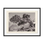 Sébastien de Feraudy fell in love with photography as a child in France, admiring his father as he developed film in his own darkroom. Slow and contemplative in his work, the now-San Franciscan emphasizes mood and composition over precision or reality. Amethyst Home provides interior design, new home construction design consulting, vintage area rugs, and lighting in the Scottsdale metro area.