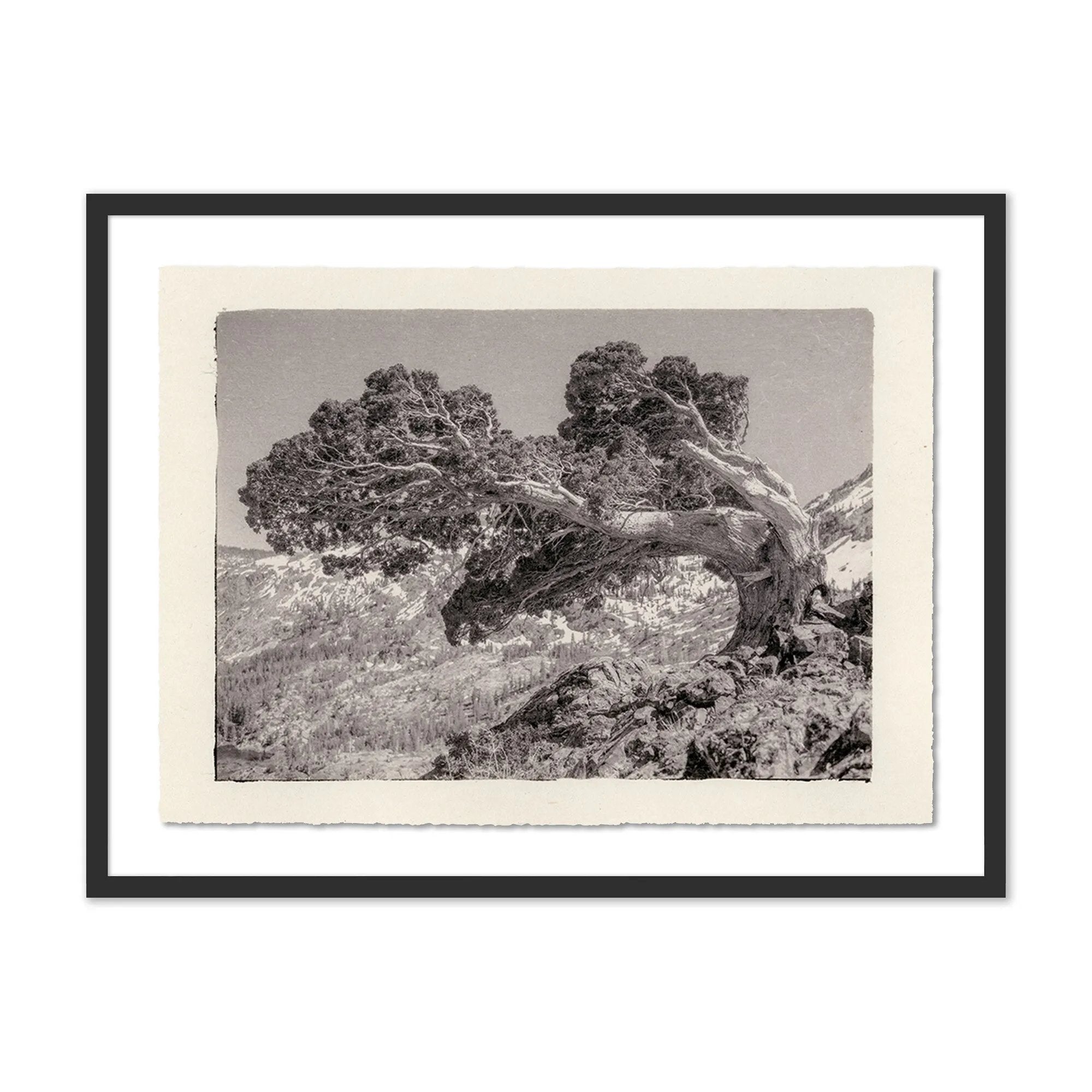 Sébastien de Feraudy fell in love with photography as a child in France, admiring his father as he developed film in his own darkroom. Slow and contemplative in his work, the now-San Franciscan emphasizes mood and composition over precision or reality. Amethyst Home provides interior design, new home construction design consulting, vintage area rugs, and lighting in the Scottsdale metro area.