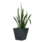 Cast black concrete forms a monolithic planter for use indoors and out. Cover or store indoors during inclement weather and when not in use Amethyst Home provides interior design, new home construction design consulting, vintage area rugs, and lighting in the Monterey metro area.