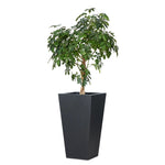 Cast black concrete forms a monolithic planter for use indoors and out. Cover or store indoors during inclement weather and when not in use Amethyst Home provides interior design, new home construction design consulting, vintage area rugs, and lighting in the Newport Beach metro area.