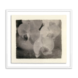 Sébastien de Feraudy fell in love with photography as a child in France, admiring his father as he developed film in his own darkroom. Slow and contemplative in his work, the now-San Franciscan emphasizes mood and composition over precision or reality. Amethyst Home provides interior design, new home construction design consulting, vintage area rugs, and lighting in the Nashville metro area.