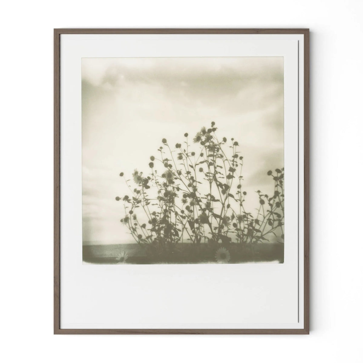 Sunflowers by Darden Smith - Rustic Walnut