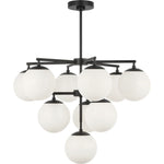 Midnight Black Bulb(s) Not Included