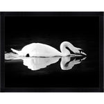 Featuring Gliding Swan Black Framed Art by Wendover Art at Amethyst Home. Gliding quietly along the river, this framed view of the swan is captured beautifully in this Gliding Swan Art.
56"w x 43"h

Medium: Matte PaperTreatment: Straight Fit (No Mats)Size: 56"w x 43"h

Framed in Black with Glass Framed as shown.  Amethyst Home provides interior design, new home construction design consulting, vintage area rugs, and lighting in the Calabasas metro area.