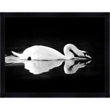 Featuring Gliding Swan Black Framed Art by Wendover Art at Amethyst Home. Gliding quietly along the river, this framed view of the swan is captured beautifully in this Gliding Swan Art.
56"w x 43"h

Medium: Matte PaperTreatment: Straight Fit (No Mats)Size: 56"w x 43"h

Framed in Black with Glass Framed as shown.  Amethyst Home provides interior design, new home construction design consulting, vintage area rugs, and lighting in the Calabasas metro area.