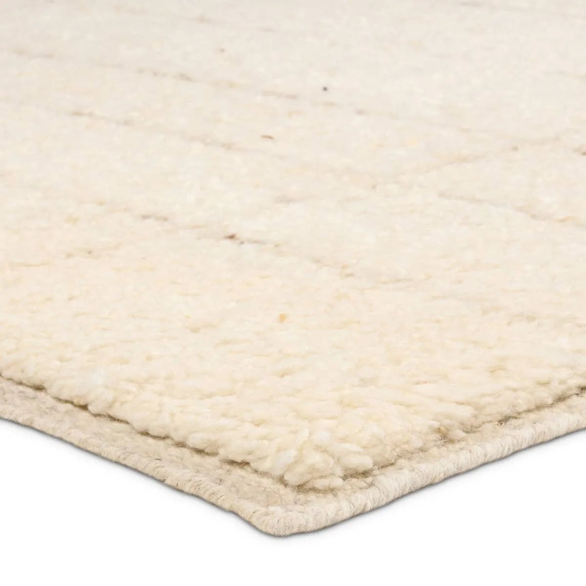 The inviting and traditionally inspired Repose Nasim marries stunning artisan quality and the beauty of natural, undyed wool. The Sherpa-like, hand-knotted construction of the Nasim rug boasts a plush texture underfoot and is perfect for adding warmth and coziness to a space. Amethyst Home provides interior design, new home construction design consulting, vintage area rugs, and lighting in the Winter Garden metro area.