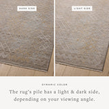 The Cali Collection by Amber Lewis x Loloi is a light-toned area rug with a casual geometric pattern that lends a neutral pattern to any space. Cali is power-loomed of polyester in Turkey for easy-to-clean, no-shed durability in high-traffic areas. This collection is also OEKO-TEX certified, ensuring its materials do not contain harmful substances. Amethyst Home provides interior design, new home construction design consulting, vintage area rugs, and lighting in the Houston metro area.