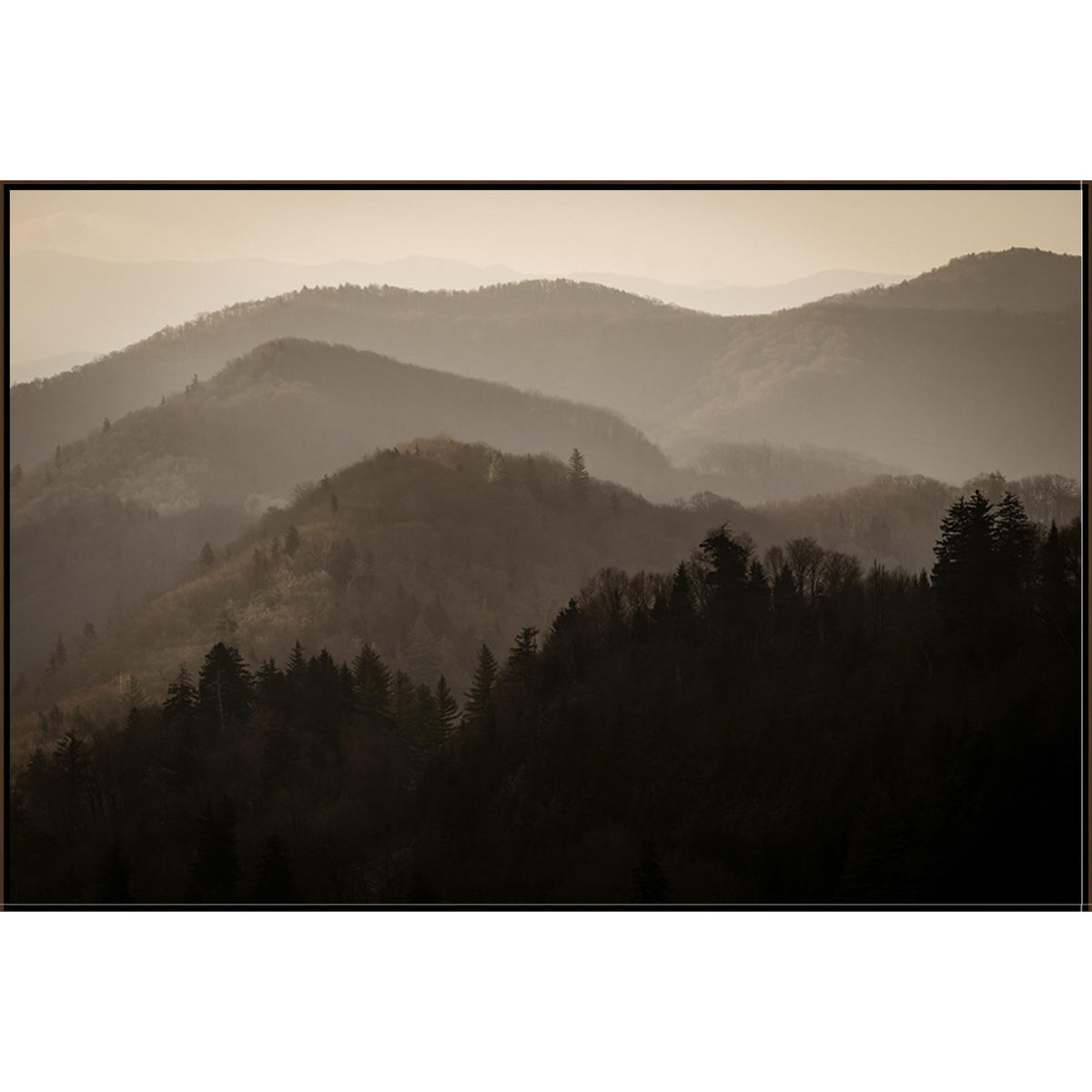 Majestic Vistas I Art