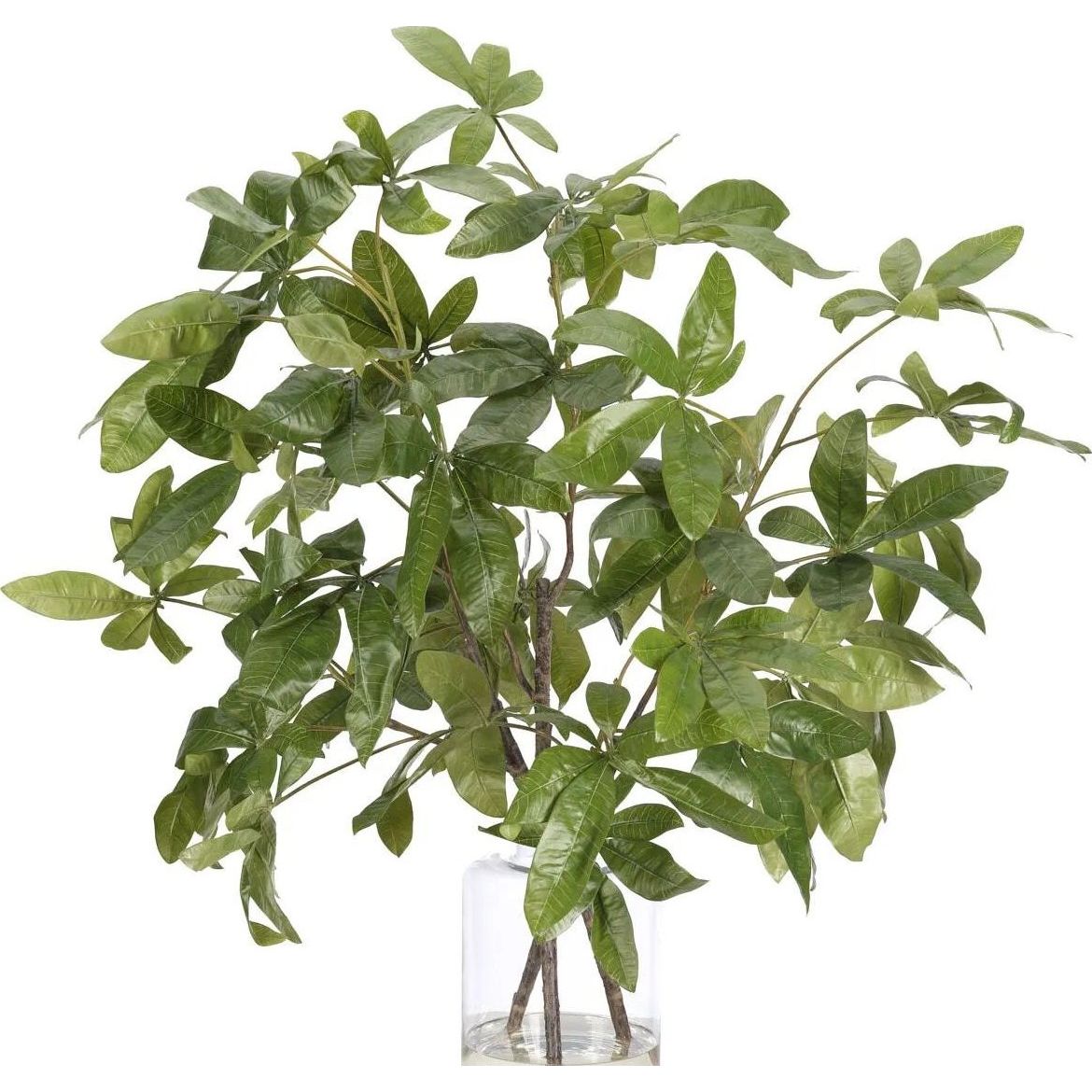 Money Tree Branch, Faux Watergarden, 38″ NDI
