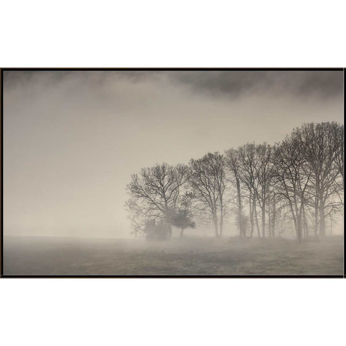 Morning Mist III Art