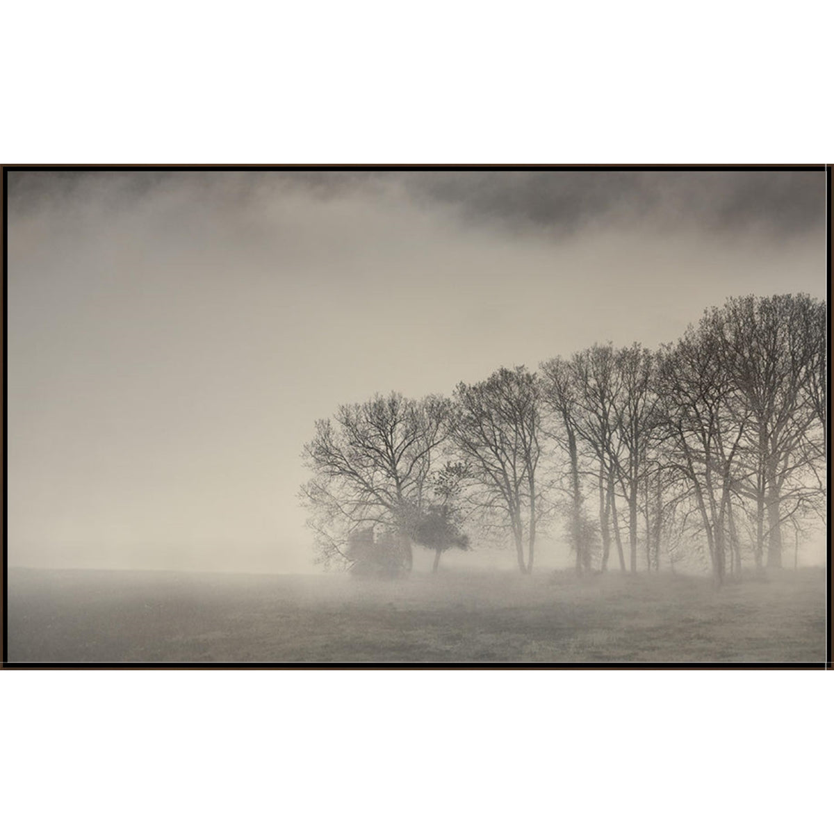 Morning Mist III Art