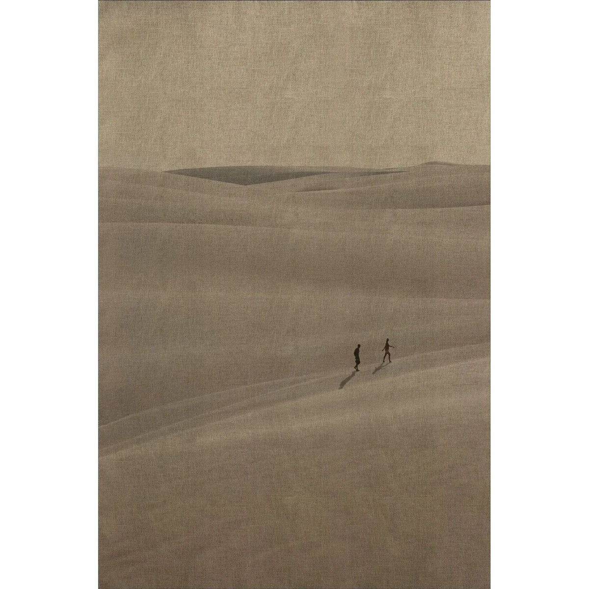 Sand Dunes 2 Art