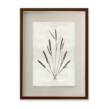 Grain Form
