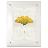 Ginko