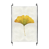 Ginko