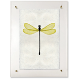 Yellow Damsel
