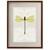 Yellow Damsel