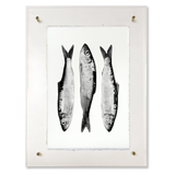 Three Herring