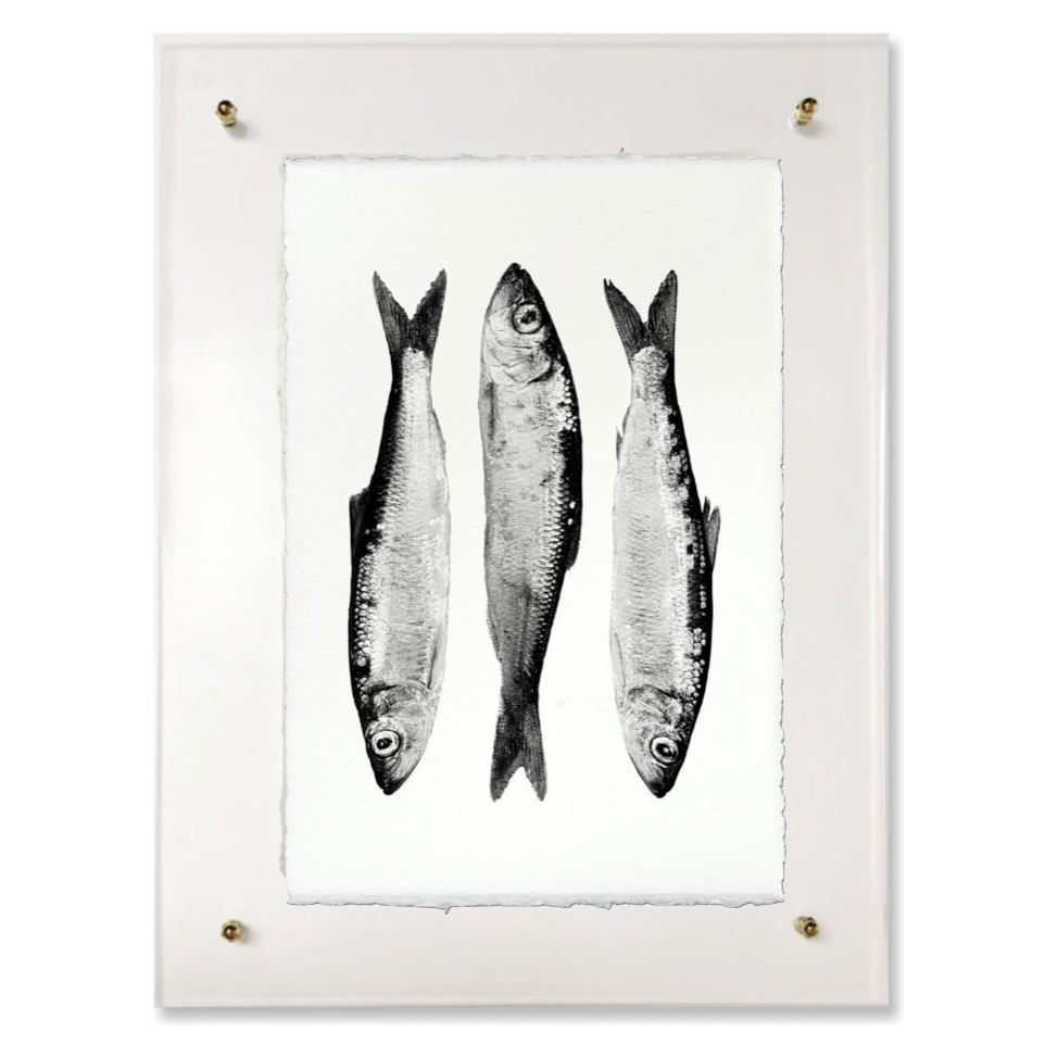 Three Herring